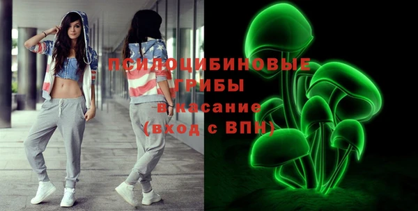 индика Гусев
