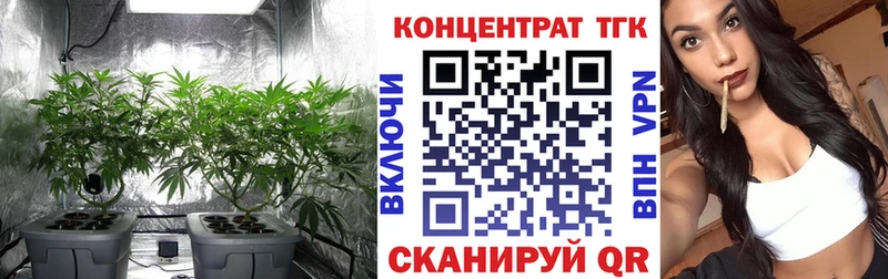 ТГК концентрат купить закладку Бородино